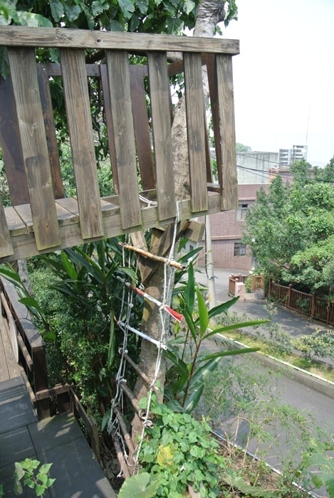 DSC_7001.jpg