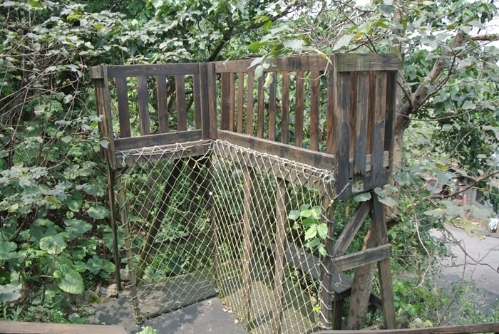 DSC_7012.jpg