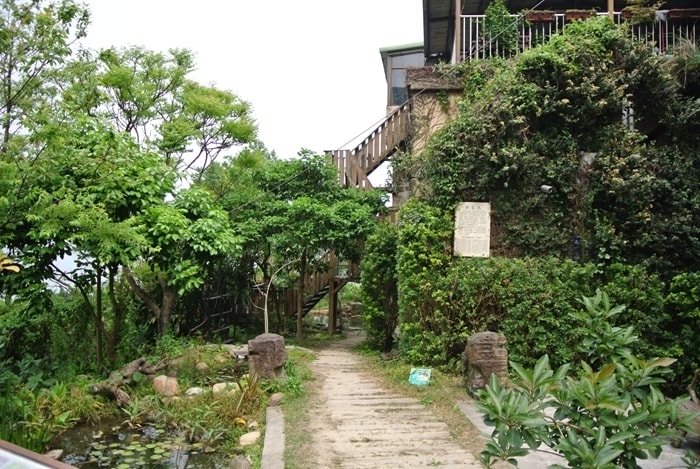DSC_7082.jpg