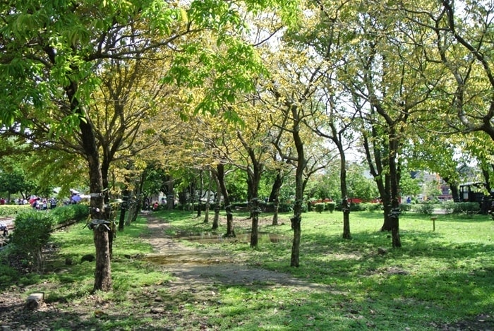 DSC_7797.jpg