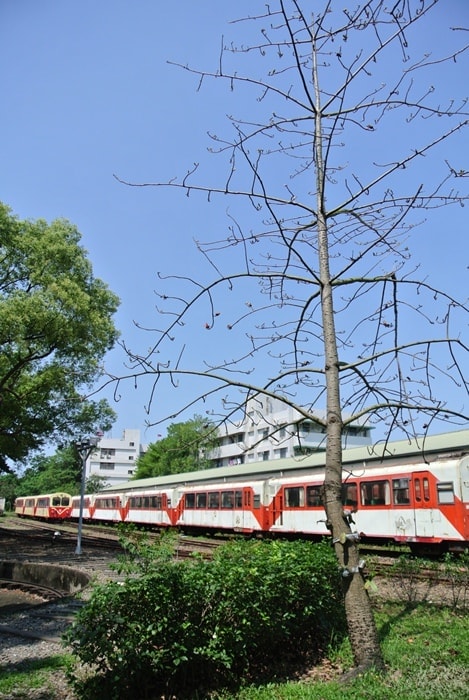DSC_7801.jpg