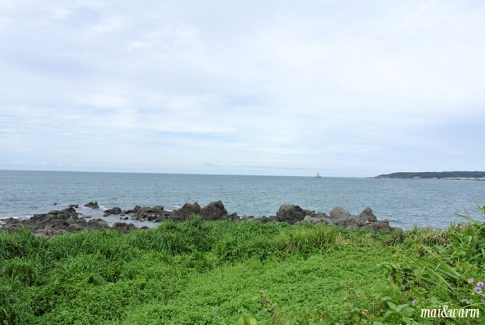 DSC_0811