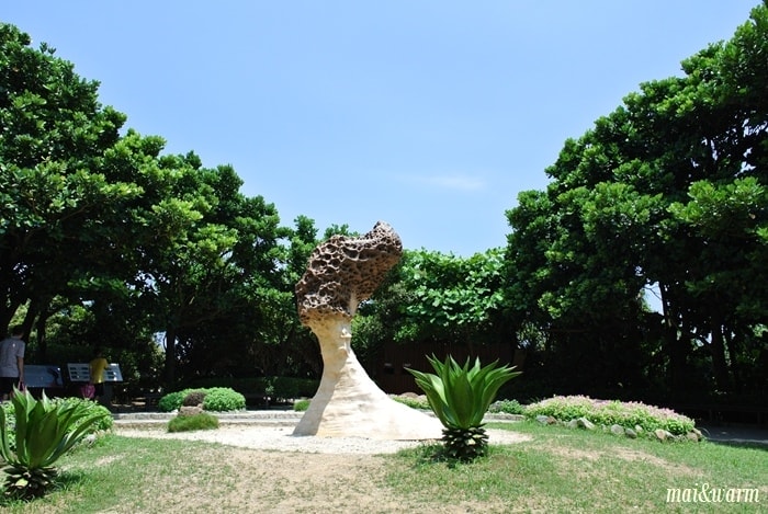 DSC_1006