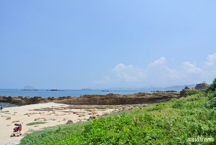 DSC_1010