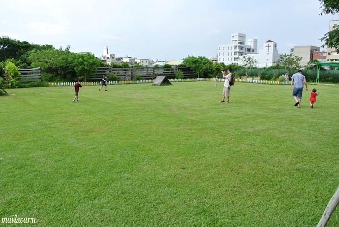DSC_1251