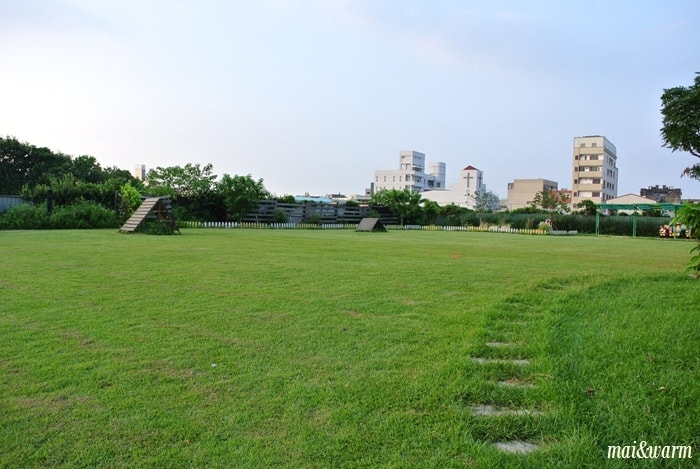 DSC_1382.jpg