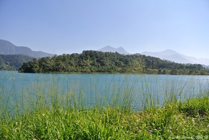 DSC_4435.jpg