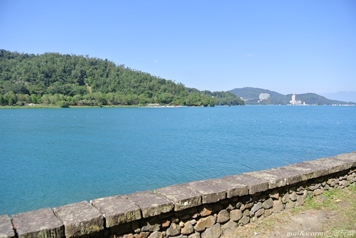 DSC_4446.jpg