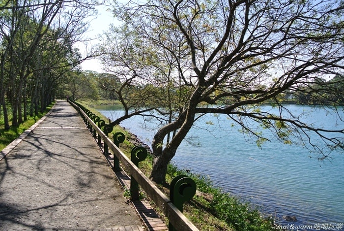 DSC_4455.jpg