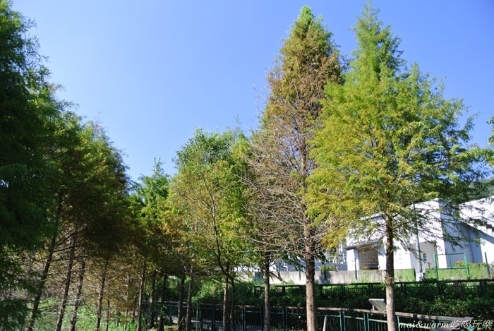 DSC_4512.jpg