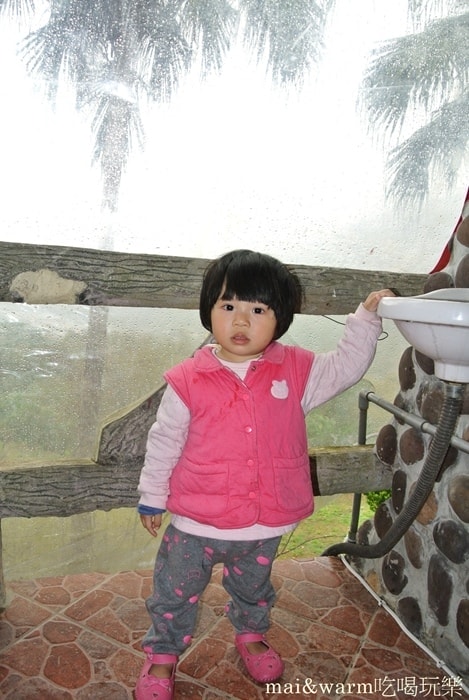 DSC_7072.jpg