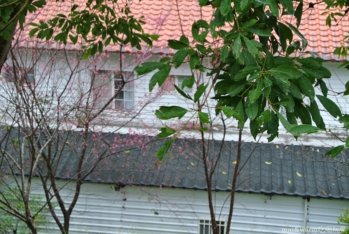 DSC_7082.jpg