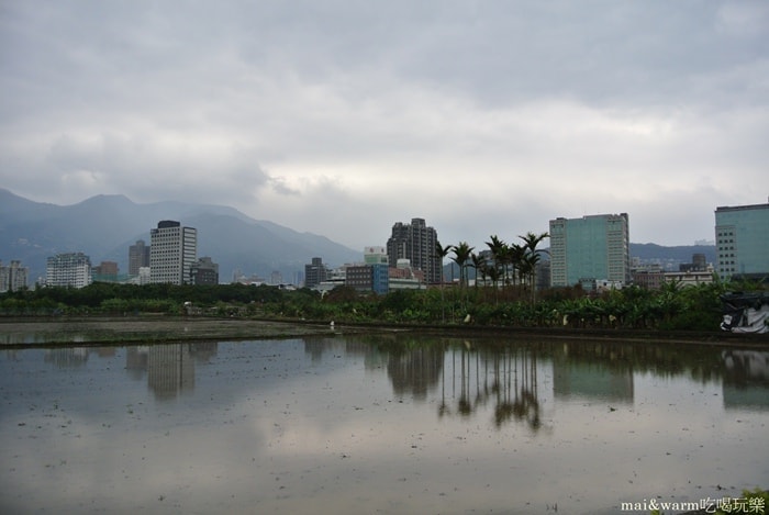 DSC_7139.jpg