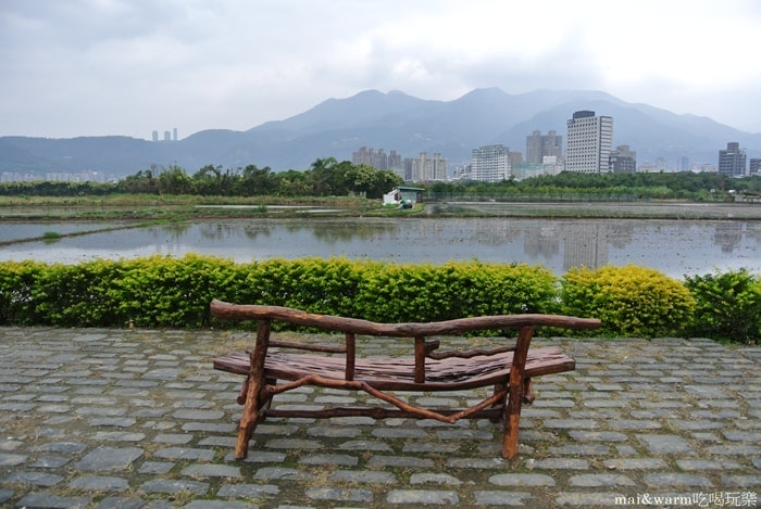 DSC_7142.jpg
