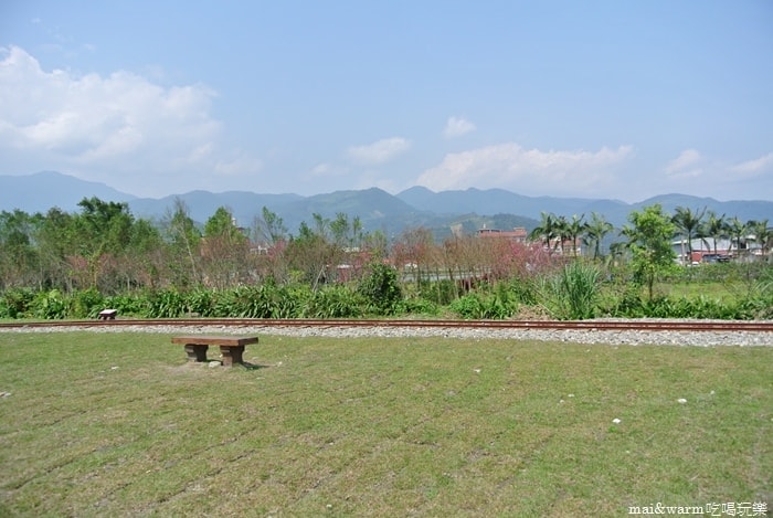 DSC_7373.jpg