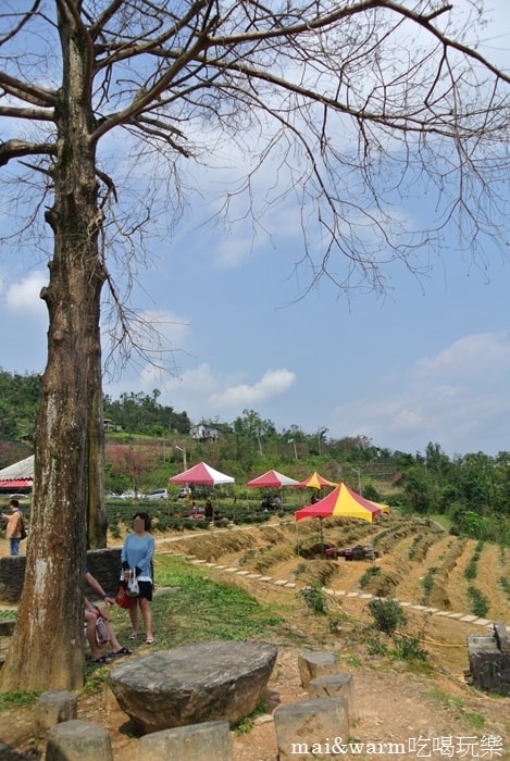 DSC_7401.jpg