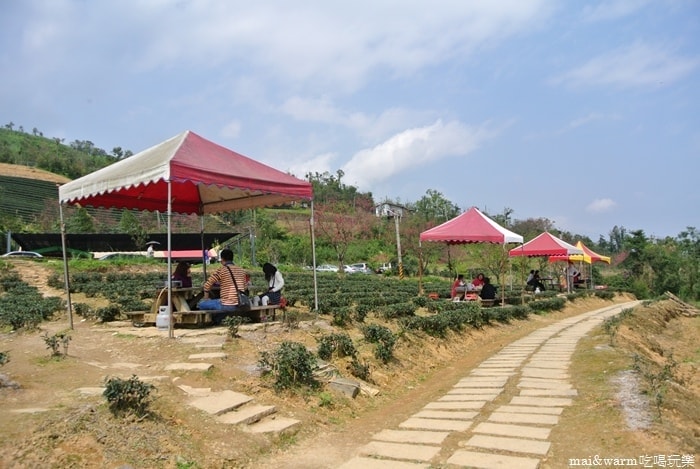 DSC_7408.jpg