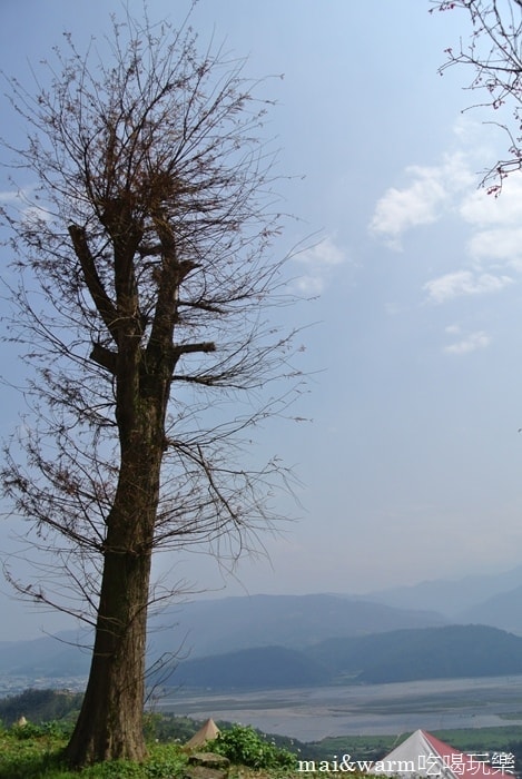 DSC_7410.jpg