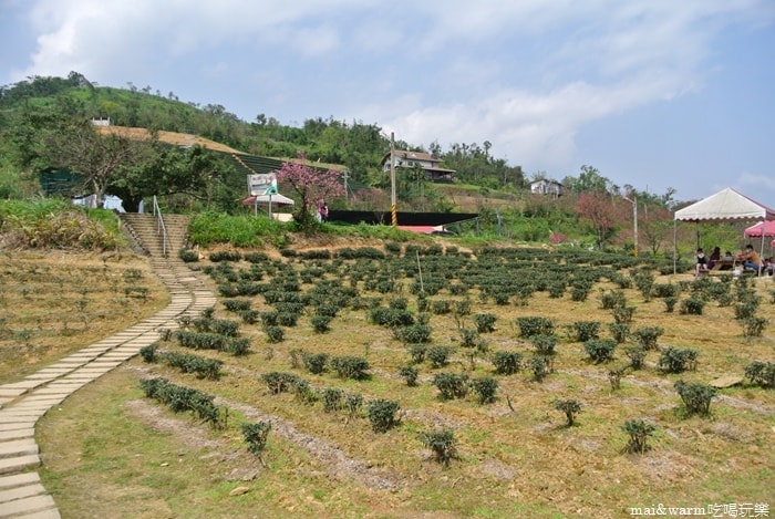 DSC_7413.jpg