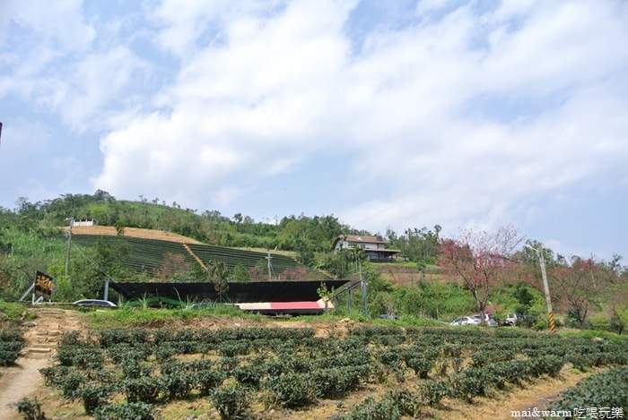 DSC_7417.jpg