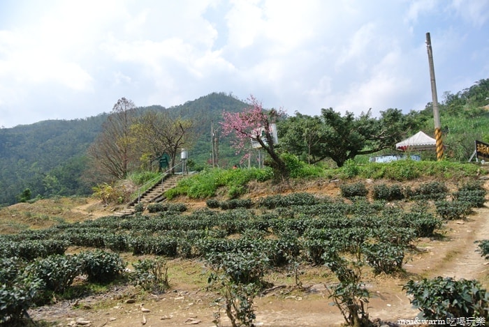 DSC_7418.jpg