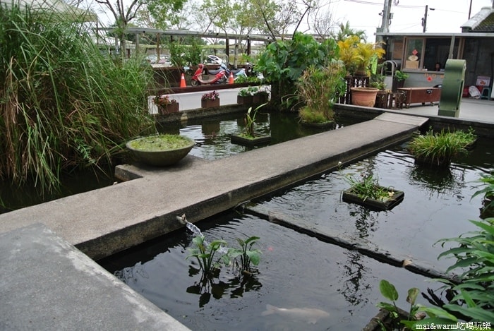 DSC_7537.jpg