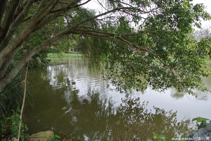 DSC_8465.jpg