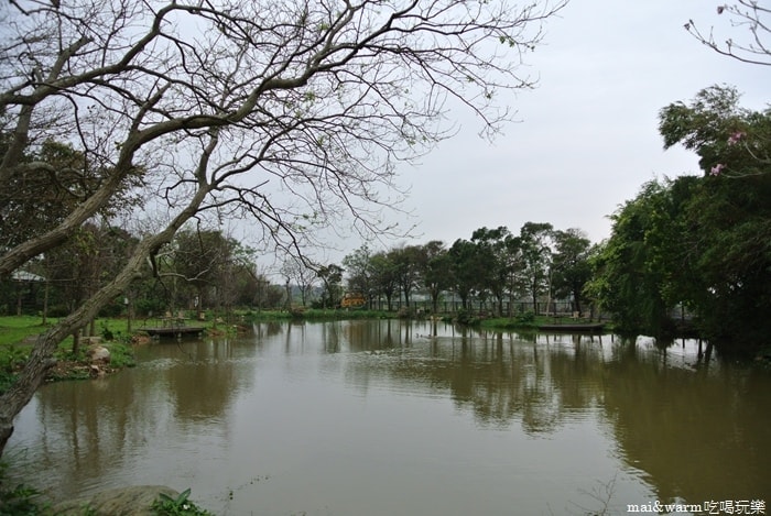 DSC_8546.jpg