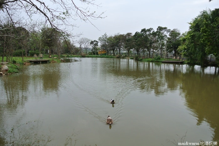 DSC_8610.jpg