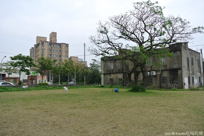 DSC_8833.jpg