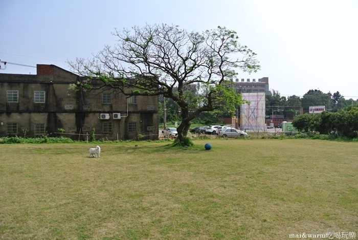 DSC_8875.jpg