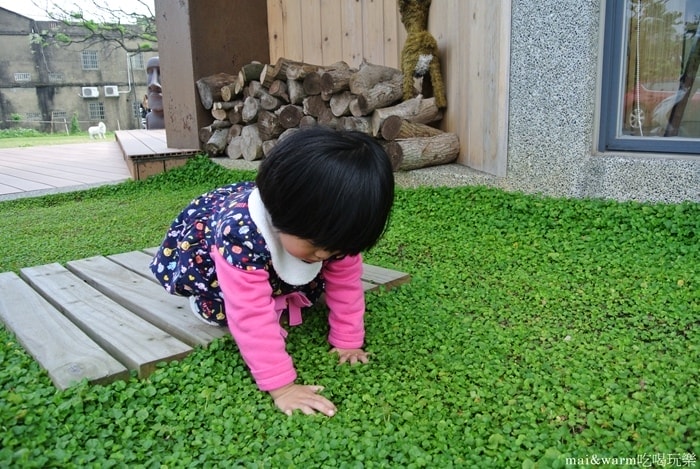 DSC_8878.jpg