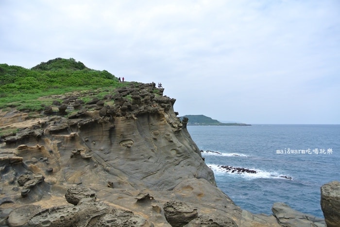 DSC_9821.jpg