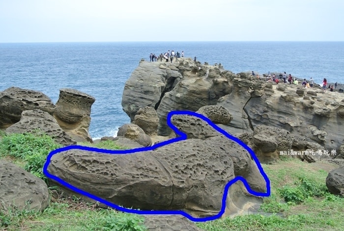 DSC_9852.jpg
