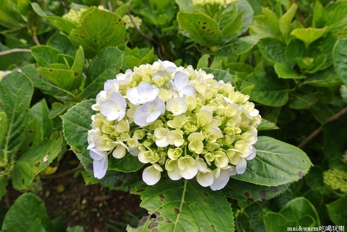 DSC_1421.jpg
