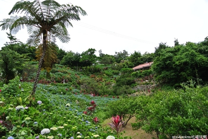 DSC_1427.jpg