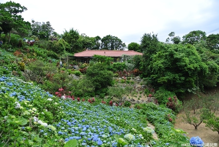 DSC_1430.jpg