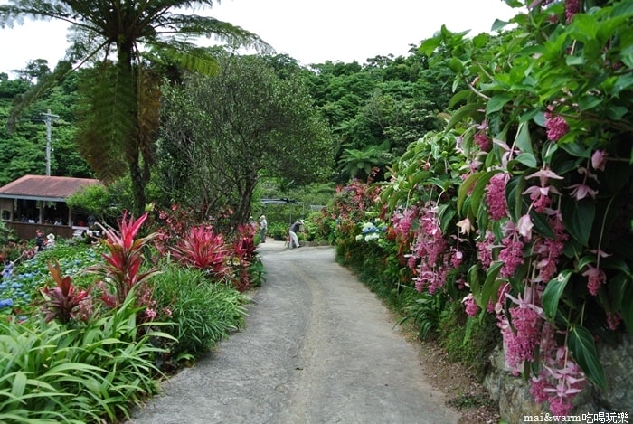 DSC_1445.jpg