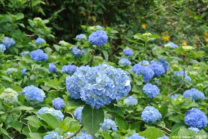 DSC_1458.jpg