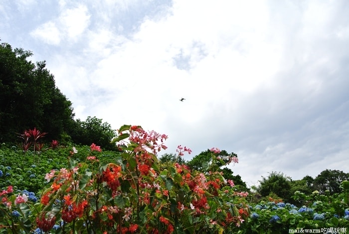 DSC_1469.jpg