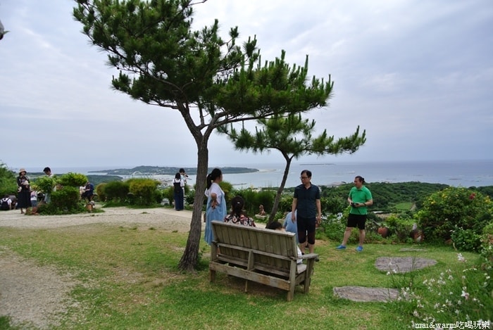 DSC_1567.jpg