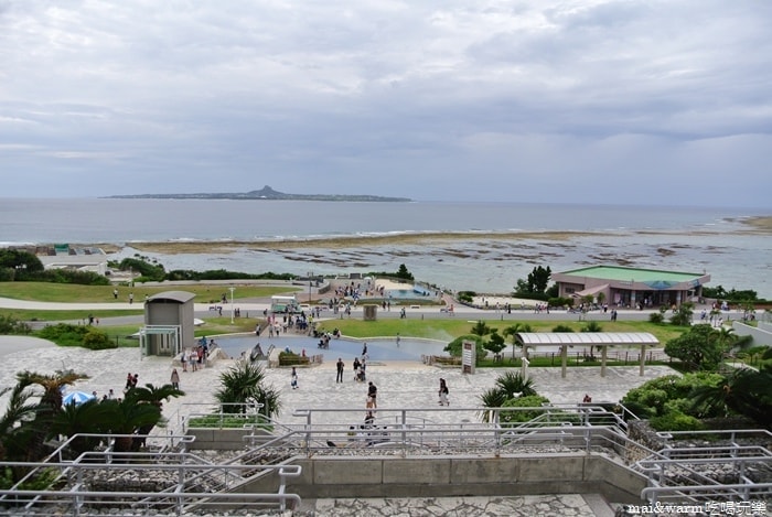 DSC_1595.jpg