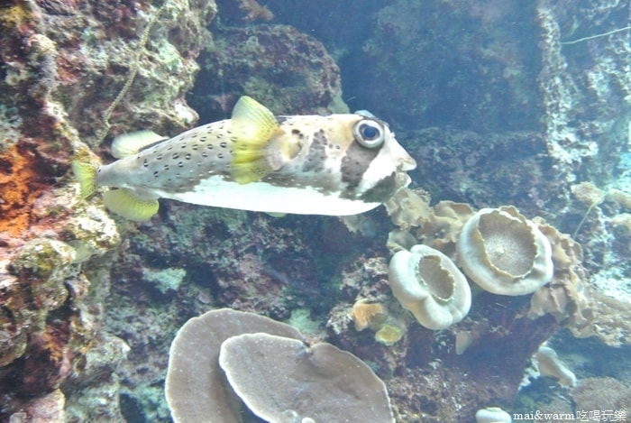 DSC_1617.jpg
