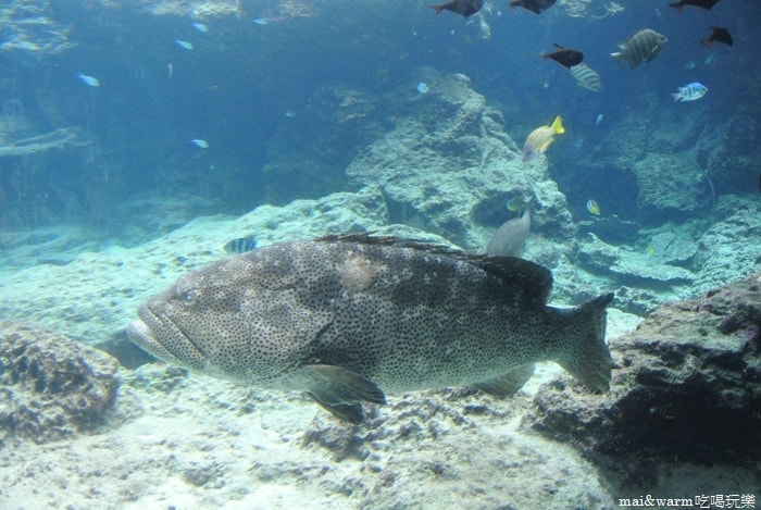 DSC_1620.jpg