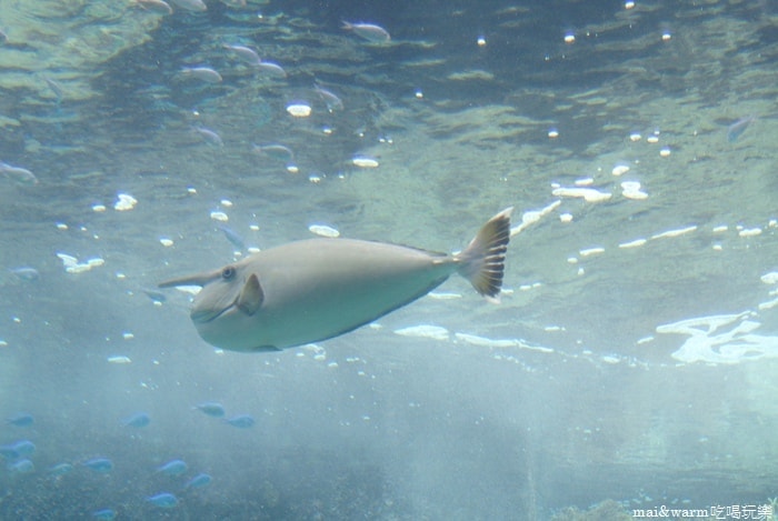 DSC_1625.jpg
