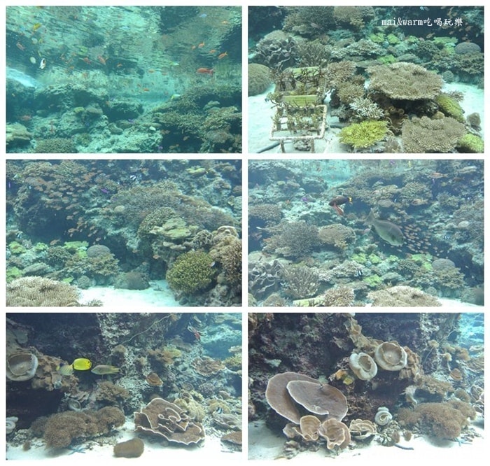 DSC_1606.JPG.jpg