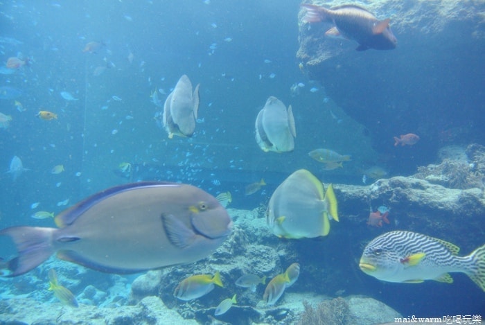 DSC_1629.jpg