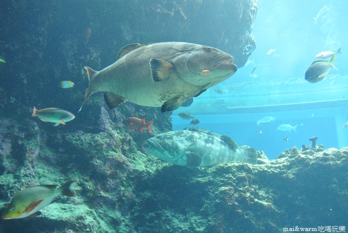 DSC_1637.jpg
