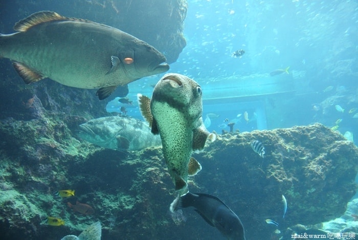DSC_1638.jpg