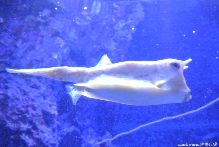 DSC_1644.jpg